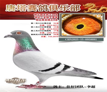 ���������P(gu��n)����28��