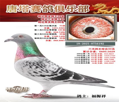 ���������P(gu��n)����29��