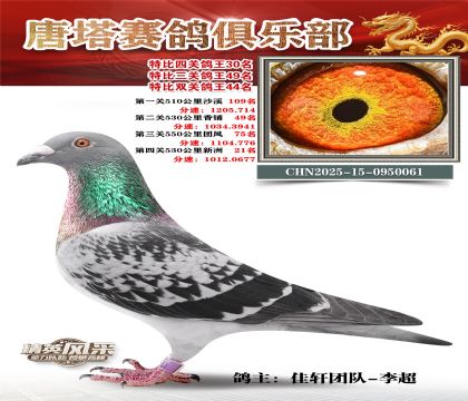 ���������P(gu��n)����30��