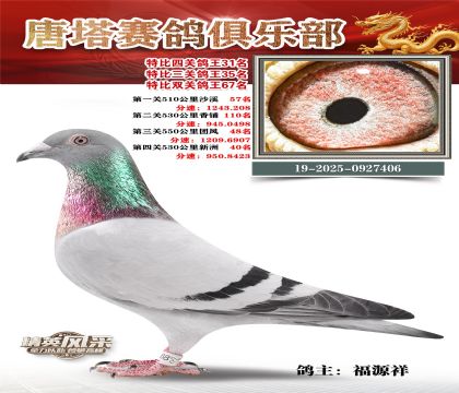 ���������P(gu��n)����31��