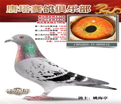 ���������P(gu��n)����33��