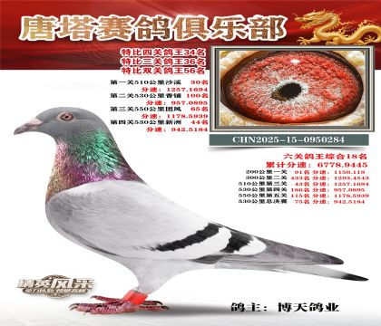 ���������P(gu��n)����34��