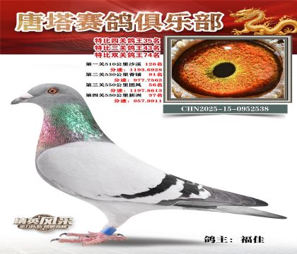 ���������P(gu��n)����35��