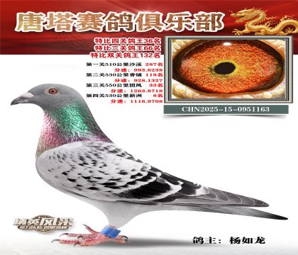 ���������P(gu��n)����36��