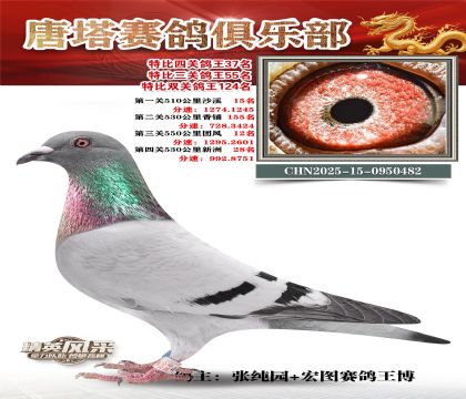 ���������P(gu��n)����37��