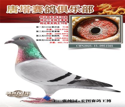 ���������P(gu��n)����38��