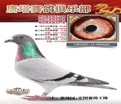 ���������P(gu��n)����39��