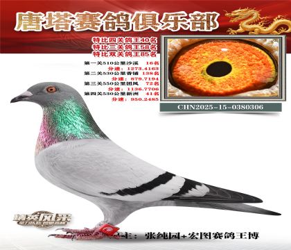 ���������P(gu��n)����40��