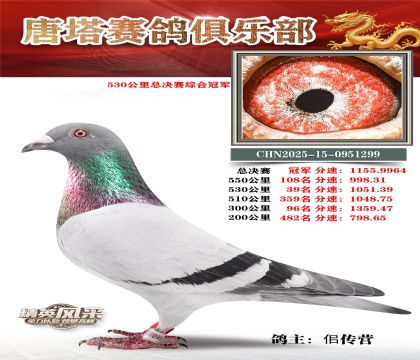 530�����ܾ����ۺϹھ�