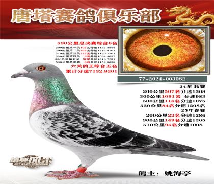 530�����ܾ����ۺ�6��