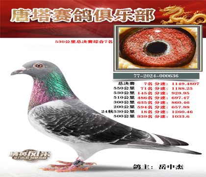 530�����ܾ����ۺ�7��