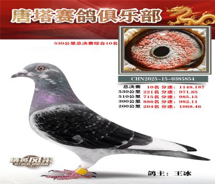 530�����ܾ����ۺ�10��