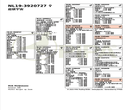 ����Ѫ�y(t��ng)��(sh��)