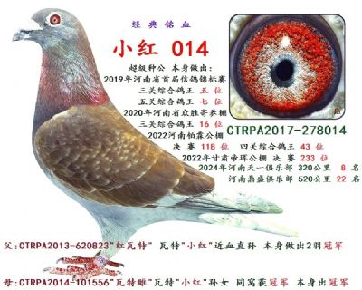 �� �� ��