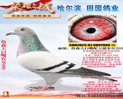 詹森大白嘴直女