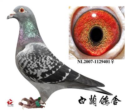 ����ĸ��ԭ�����ﳤ���ָ�