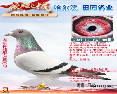 老薛仲雅直女8000