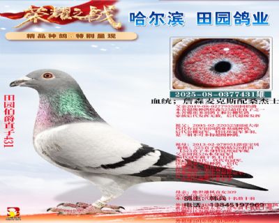 田園伯爵直子431