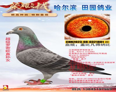 ĸ�H�������_�ܚWֱ�O