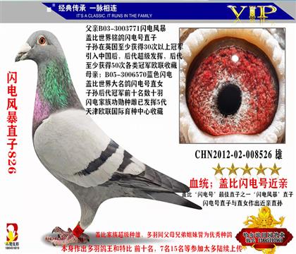 �游���W(li��n)�W��L��ֱ��