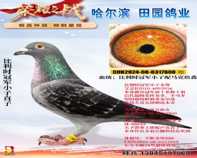 比利時冠軍小子直子