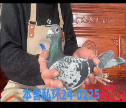 ���r(n��ng)�ڽ�Ѫ0225