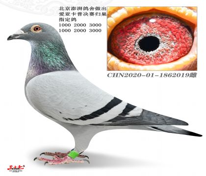 ������������-�ہ����՚w��