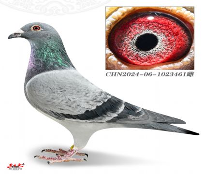 ������������P��ِ�C������47��