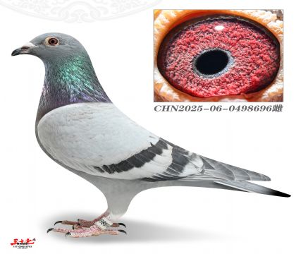 ������ԭ��X����������8