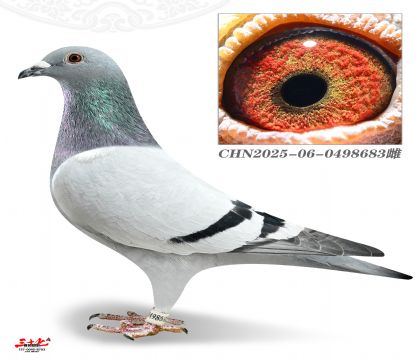 ������ԭ��X����������8��ֱŮ