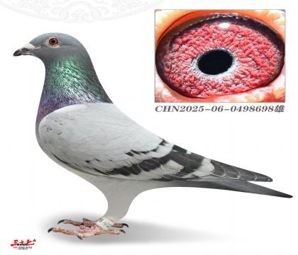 ����W�-���Ź����܊��������