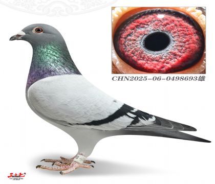 ����W�-��܇ِ��܊ֱ��