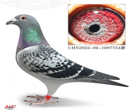 ���W-�w�빤���վِ44��