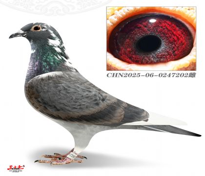 Ľ���T����܊У��ֱŮ202