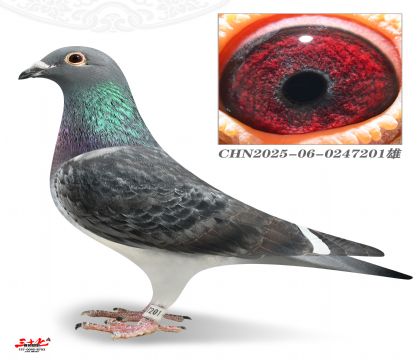 Ľ���T����܊У��ֱ��201