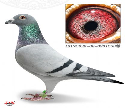 �����P�P��-500����42��