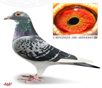 ɣ��ʿ-�w�빤��Qِ406��