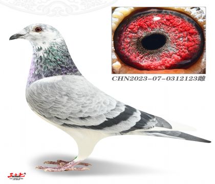 ̫�W���֌����ر�-����500����ɿ���