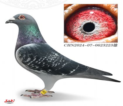 ղɭ-���蹤��Qِ476��