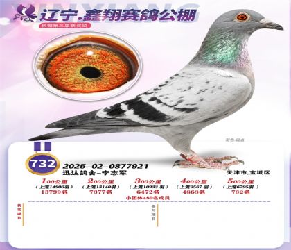 ������-���蹤��Qِ732��