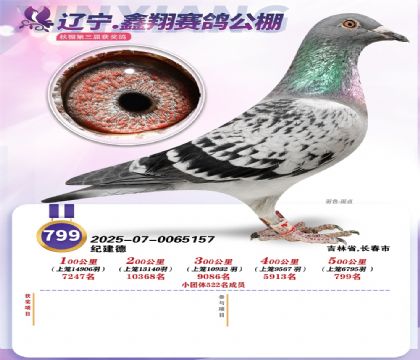 ����-���蹤��Qِ799��