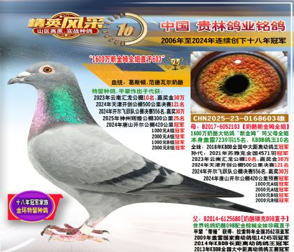 1600�f�½�ķȫ��������098ֱ��.ƽ݅�����_�������܊