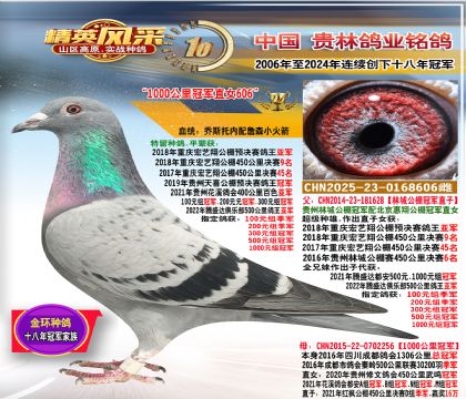 1000�����܊ֱŮ.ƽ݅�@�ؑc��ˇ�蹫�܊.9��