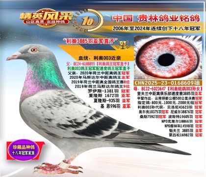 ���W003�O�����W003�OŮ���H.3885����܊ֱ��