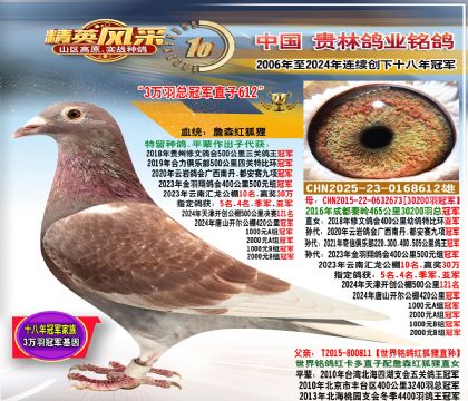 3�f�𿂹�܊ֱ��.ƽ݅��400�����܊.500�����܊