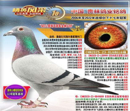 �S���䌦ֱ��.���500����������܊.�����_�������܊