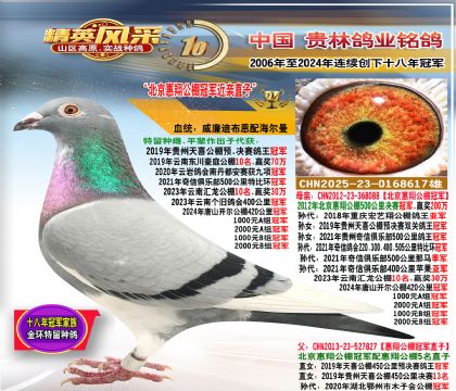 �������蹫���܊ֱ��.ƽ݅�����_�������܊.500�����܊