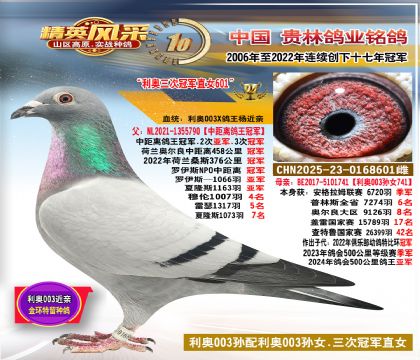 ���W003�O�����W003�OŮ���H.���W3�ι�܊ֱŮ