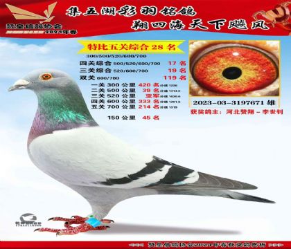 �@������Ƭ