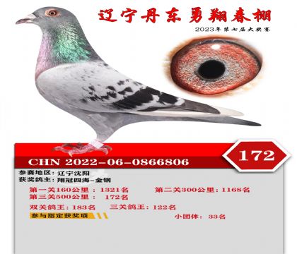 2022-06-0866806��